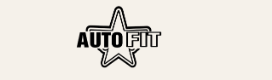 Automatic Fitness LLC